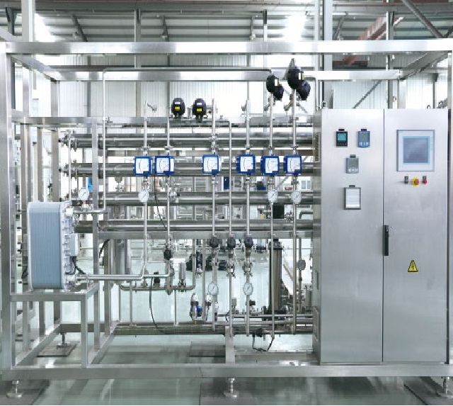  Ultrapure Water Purifier RO EDI Plant System ro water filter system 